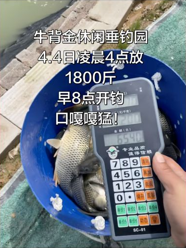 牛背金休闲垂钓园钓场环境照片