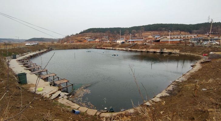 孤家子村威哥鱼塘钓场环境照片