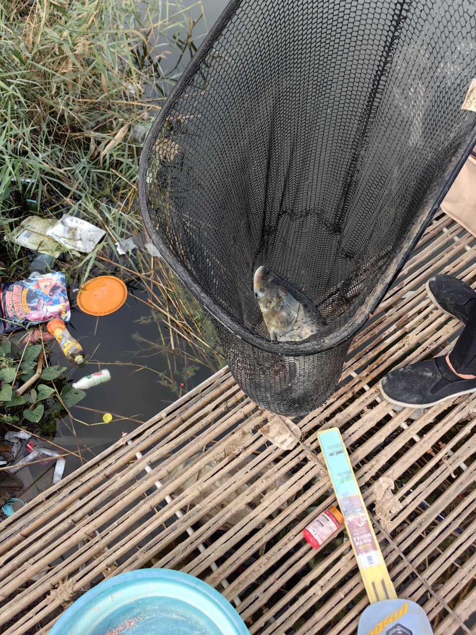 旺旺鲢鳙垂钓园钓场环境照片