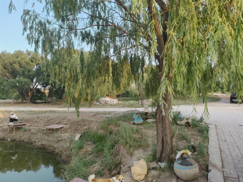 呼和浩特市悦天际露营垂钓基地钓场环境照片