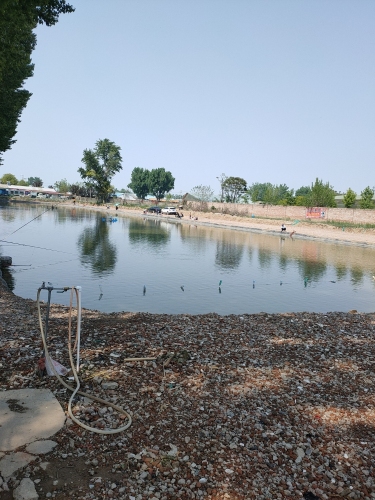 石洲营鸿顺垂钓园钓场环境照片