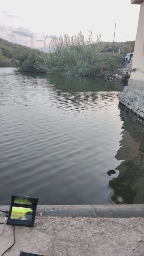 青云垂钓园钓场环境照片