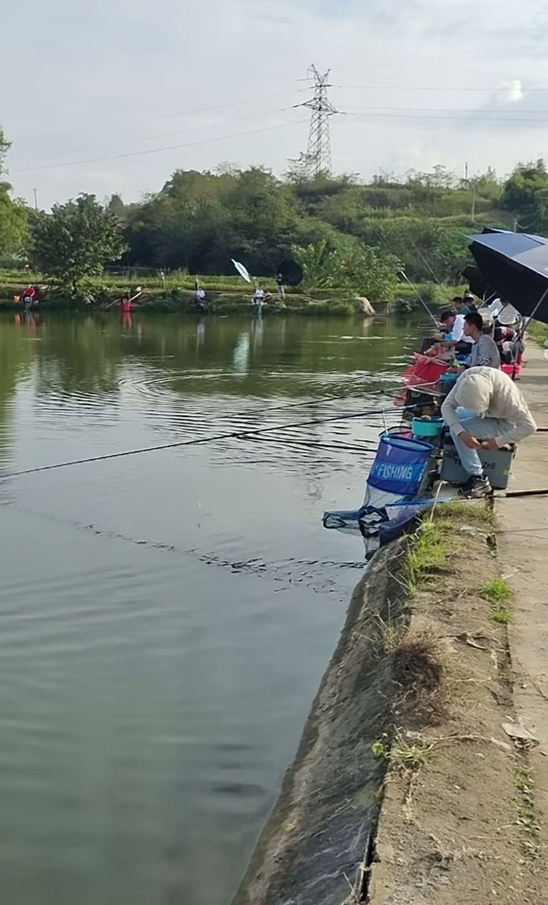 洄水湾二号钓场钓场环境照片