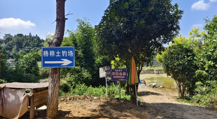 杨称土钓场钓场环境照片