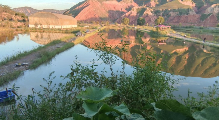 红古区岗子钓场钓场环境照片
