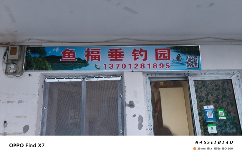 鱼福垂钓园钓场环境照片