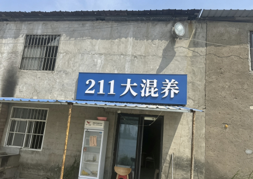 211大混养钓场环境照片