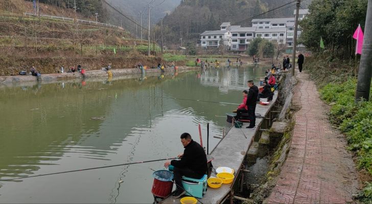 凉风垭钓鱼山庄钓场环境照片