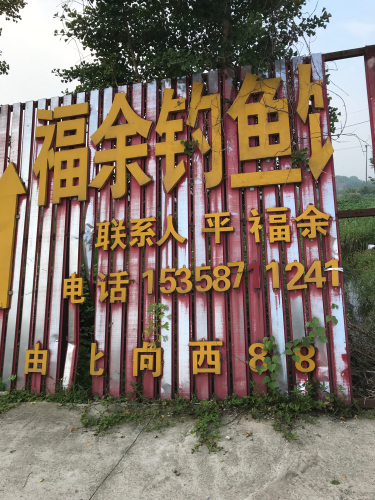 福余钓鱼馆钓场环境照片