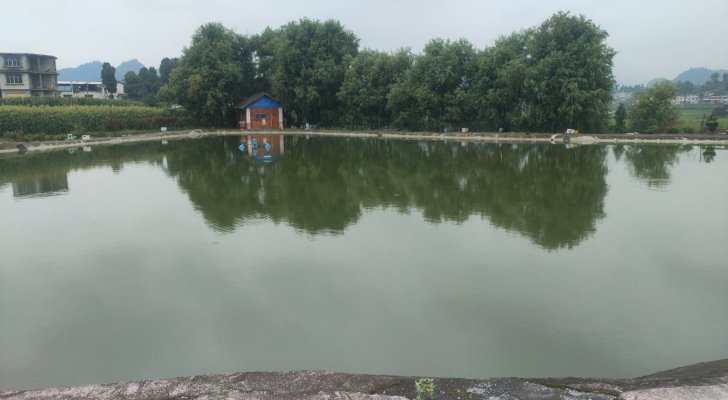 熊家鱼塘钓场环境照片