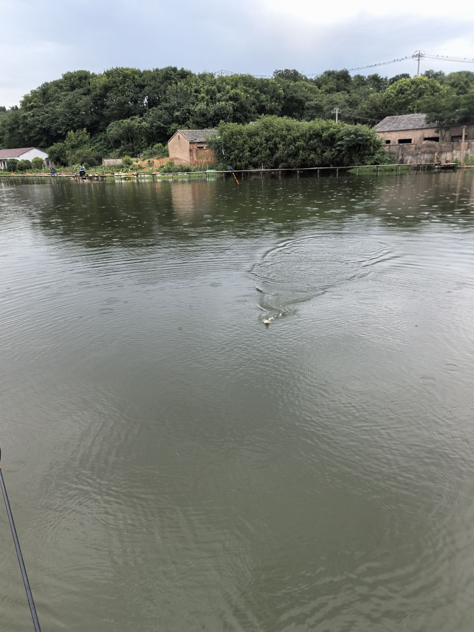 墨池休闲垂钓中心钓场环境照片