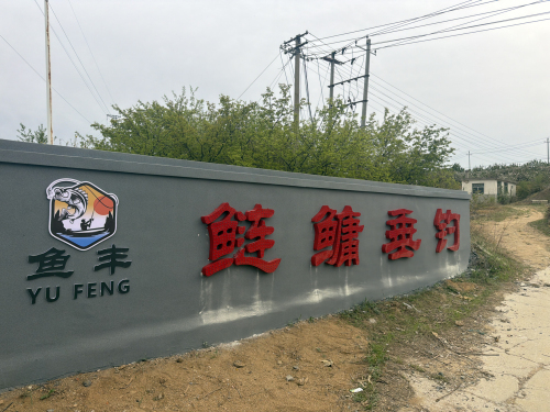 鱼丰鲢鳙垂钓基地钓场环境照片