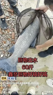 鑫發巨物休闲垂钓场钓场环境照片