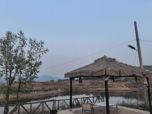 望齐垂钓露营基地钓场环境照片