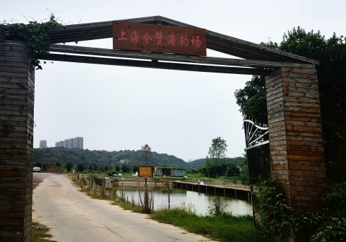 上海今蟹海钓场钓场环境照片