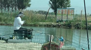 大湖湾垂钓钓场环境照片