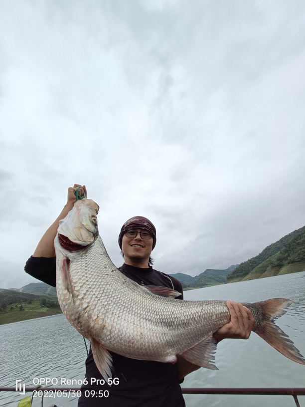 打舍野猪垂钓山庄钓场环境缩略图