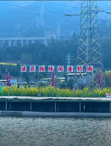 谈巨物休闲垂钓场钓场环境照片