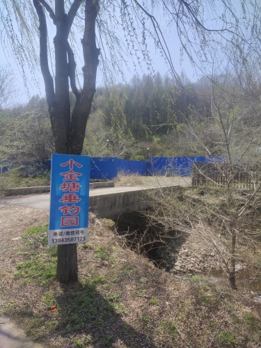 小金塘垂钓园钓场环境照片