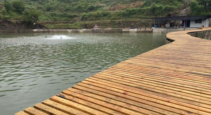 凯里市三棵树乌大冲休闲钓场钓场环境照片