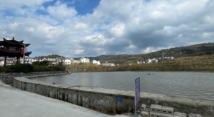 卢家湾广场垂钓园钓场环境照片