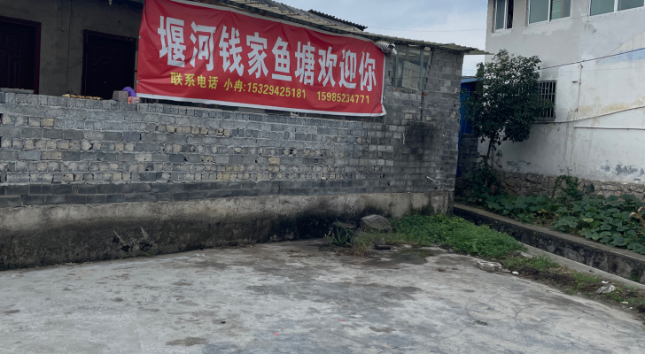 播州区三合镇钱家鱼塘钓场环境照片