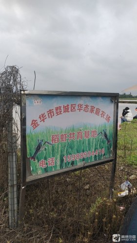 浙江省金华市婺城区华态家庭农场龙虾垂钓基地钓场环境照片