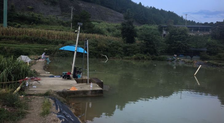 虎新钓场钓场环境照片