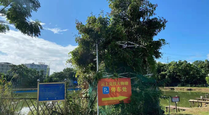 云上竞技大物塘钓场环境照片