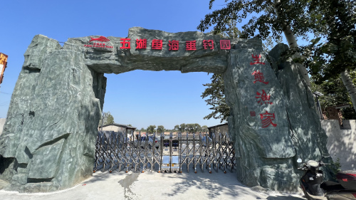 五湖鱼海垂钓园钓场环境照片