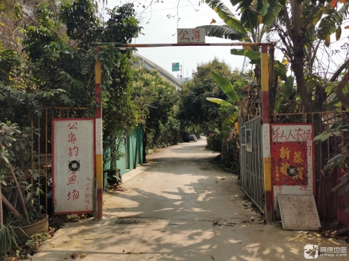 公海钓鱼场钓场环境照片