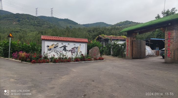 马寨山庄垂钓钓场环境照片