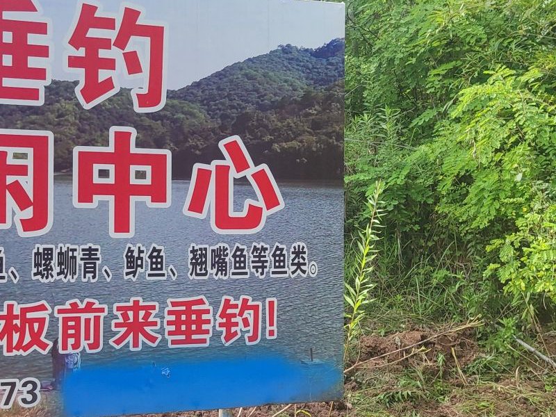 四海休闲垂钓中心钓场环境照片