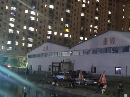 龙泉垂钓园钓场环境照片