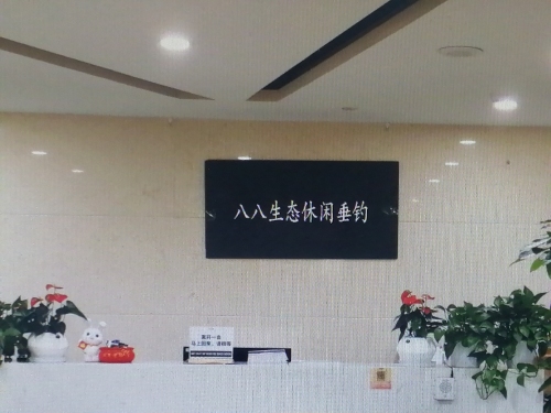 八八生态休闲垂钓钓场环境照片