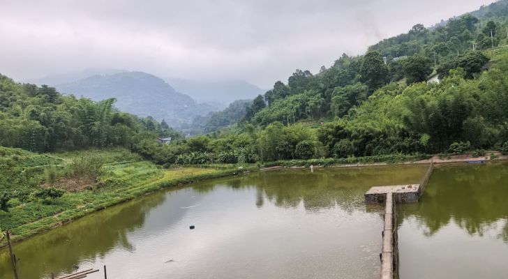 回龙窝钓鱼山庄钓场环境照片