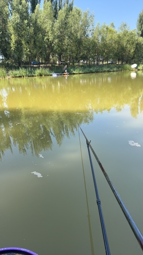 春林湖垂钓钓场环境照片