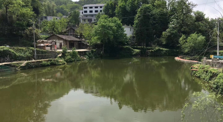 临水源捶钓山庄钓场环境照片