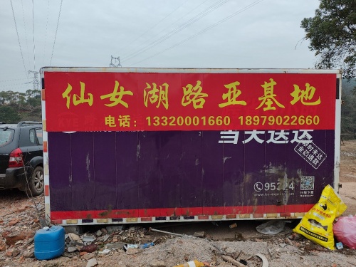 仙女湖路亚基地钓场环境照片