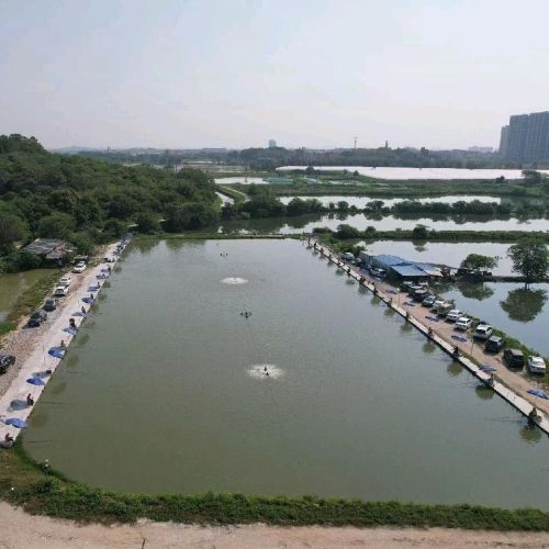 渔趣乐垂钓服务中心钓场环境照片