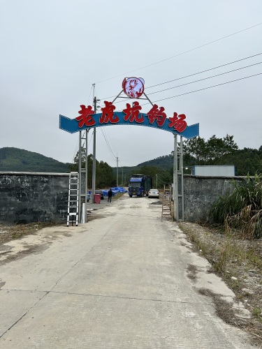 老虎坑钓场钓场环境照片