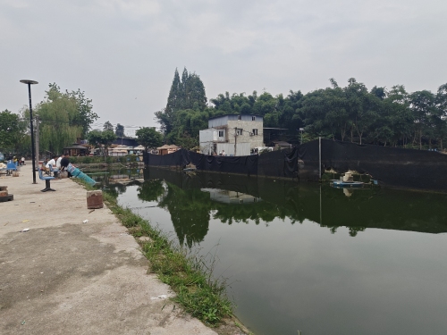 大草坪垂钓园钓场环境照片