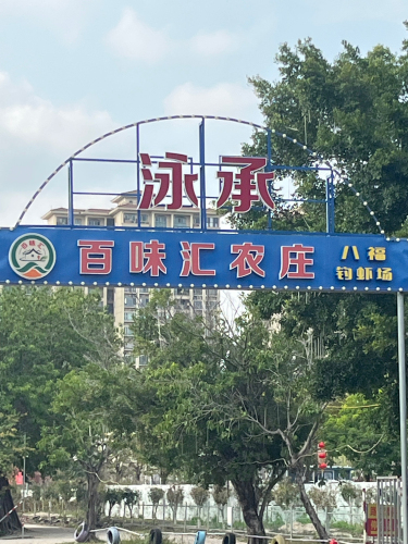 八福钓虾场钓场环境照片