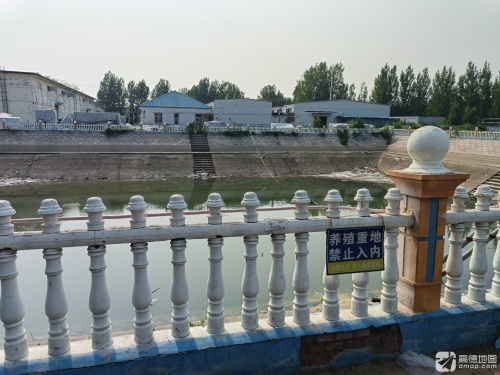 鳙正鲢鳙钓场钓场环境照片