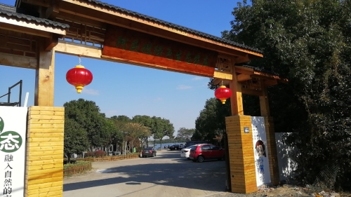 阿庆嫂绿色生态农庄钓场环境照片