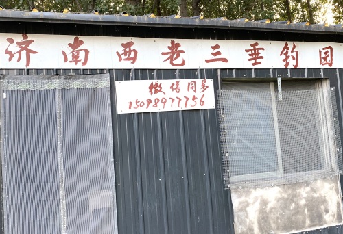 济南西老三垂钓园钓场环境照片