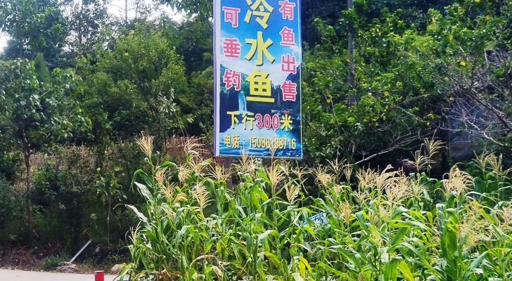 水源寨冷水鱼钓场钓场环境照片