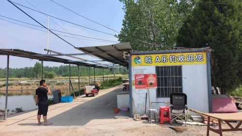 皖A乐钓巨物钓场钓场环境照片