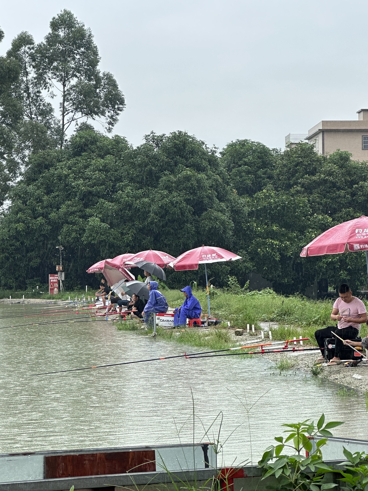 吉祥钓鱼场钓场环境照片
