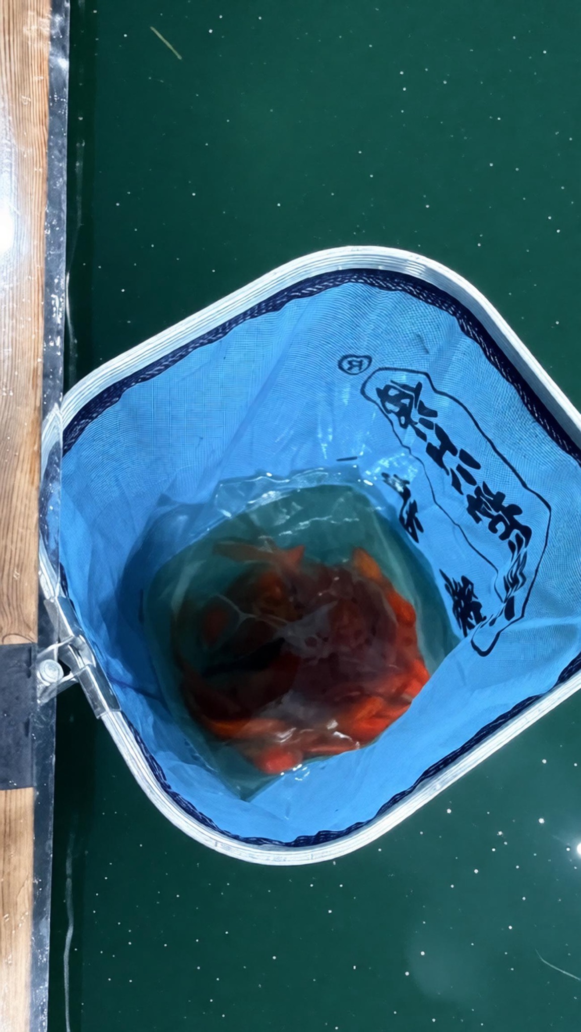 崎渔室内钓馆钓场环境照片